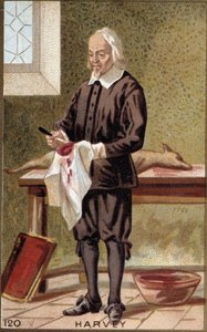 Porträt von William Harvey (1578-1657), englischer Arzt.
