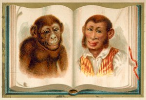 Porträts eines Affen und eines Mannes von French School