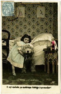 Postkarte: Toto ist krank, seine Herrin zwingt ihn ins Bett zu gehen, Prinz von French School
