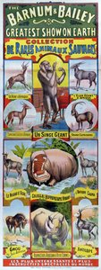 Plakat zur Werbung für die Sammlung seltener Wildtiere für den Barnum und Bailey Zirkus