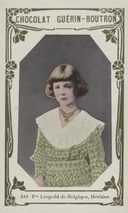 Prinz Leopold von Belgien, Erbe von French School