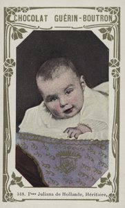 Prinzessin Juliana von Holland, Erbin