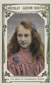 Prinzessin Marie von Luxemburg, Erbin von French School