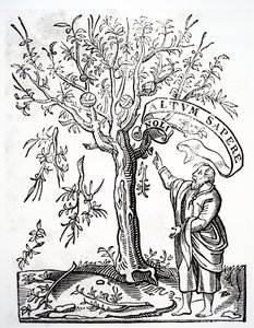 Druckeremblem von Robert Estienne, Paris, 1526