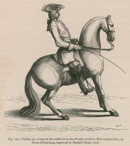 Ein Pferd am Zügel hochziehen (aus Manege moderne dans sa perfection, von Baron d