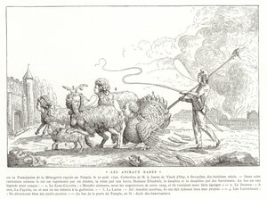 Seltene Tiere von French School