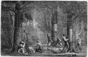 Ernte der Rinde der Korkeiche. Gravur in "Histoire des plantes" von Louis Figuier, veröffentlicht in "Le Monde Illustré" Nr. 399 vom 3. Dezember 1864