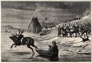 Rentierherde in Lappland - Gravur aus „Der Mensch und das Tier“ von Arthur Mangin - 1872 - von French School