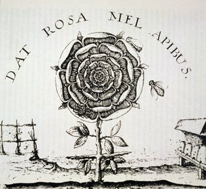 Rosenkreuzer-Allegorie, Kopie eines Kupferstichs von Johann Theodore de Bry (ca. 1598), verwendet in einer Geschichte der Magie, veröffentlicht Ende des 19. Jahrhunderts von French School
