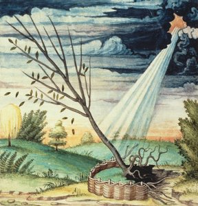 SMM2 p.17 Sturm, aus Theatre des Vices et Vertus, von Jan van der Noot (ca. 1539-95) von French School