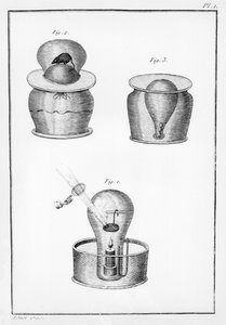 Wissenschaftliche Experimente, Illustration aus Observations sur la Physique, sur l
