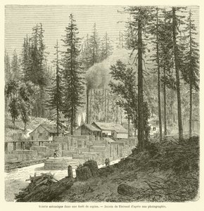Mechanische Sägemühle in einem Tannenwald (Gravur) von French School