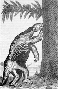 Skelett des Megatheriums - in „Die Welt vor der Schöpfung des Menschen“ von Camille Flammarion