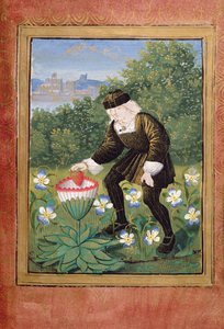 Miniatur von Pierre Sala, der 
