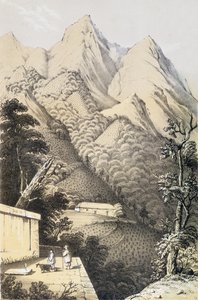 Teeplantagen im Grüntee-Distrikt von China, aus A Journey to the Tea Countries of China, erstmals veröffentlicht 1852, von Robert Fortune (1812-1880) von French School