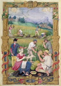Der Monat August: Die Ernte