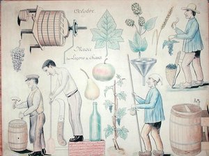 Der Monat Oktober: Weinproduktion
