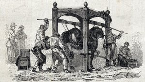 Die Nationale Veterinärschule von Alfort - Les grandes écoles de France - École vétérinaire de Maison Alfort en 1866 - das Beschlagen widerspenstiger Pferde - Gravur in 