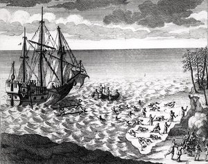Der Pelikan sinkt nahe der Küste, aus Histoire de l