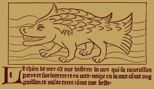 Der Seehund