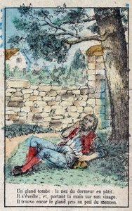 Die Eichel und der Kürbis. Fabeln von Jean de La Fontaine (1621-95). Epinal-Bild Ende des 19. Jahrhunderts. von French School