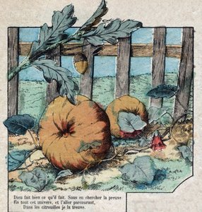 Die Eichel und der Kürbis. Fabeln von Jean de La Fontaine von French School