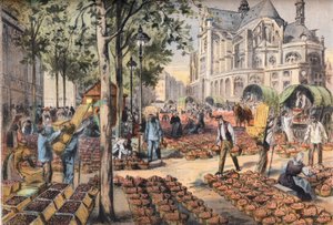 Die Ankunft der Erdbeeren auf dem Fliesenboden der Hallen hinter der Kirche Saint Eustache, aus der Zeitung "Le Petit Parisien" von French School