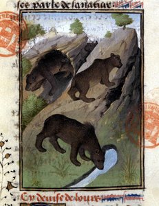 Der Bär - aus „The Hunting Book of Gaston Phoebus, Count of Foix, Lord of Béarn“ von French School