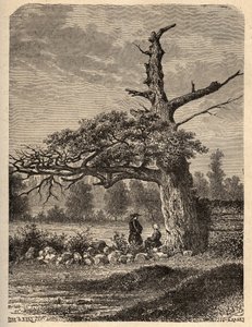 Die Eiche von Heinrich IV. in Sainte-Foix, nahe Rennes - Gravur in „PATRIE - BESCHREIBUNG DER MALERISCHEN FRANKREICH IN 6 BÄNDEN“ von Lucien Huard - Ende des 19. Jahrhunderts