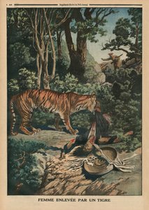 Tiger greift eine Frau an, Rückseitenillustration aus 