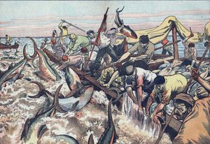 Thunfischfang in Tunesien: 1925