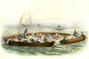 Thunfischfang oder Magrague - Tafel aus Histoire Naturelle von Bernard Germain de Lacepede (1856-1925), Ausgabe P.Furme, Paris von French School