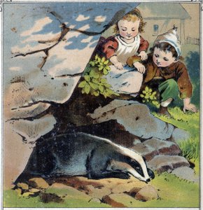 Zwei Kinder beobachten einen Dachs in seinem Bau. Chromolithographie aus „Kindheitsszenen“, ed. Guerin - Muller um 1885.