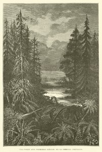 Ein Wald in den ersten Jahrhunderten der Kreidezeit von French School