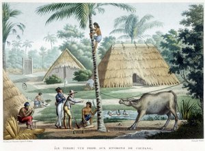 Ansicht in der Nähe von Coupang, Insel Timor von French School