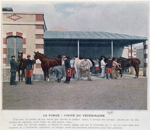 Besuch des Armeeveterinärs in der Kaserne, 1897 von French School