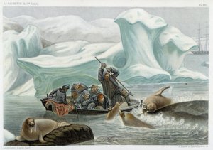 Walrossjagd - in „Le monde de la mer“ von Alfred Fredol, Hachette, Paris von French School