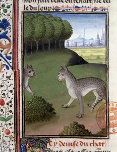 Wildkatzen - aus „Hunting Book of Gaston Phoebus, Count of Foix, Lord of Béarn“ von French School