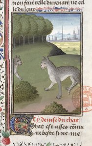 Wildkatzen, aus dem Livre de la Chasse von Gaston Phebus de Foix (1331-91) von French School