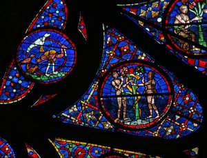 Fenster w115, die Schöpfung darstellend: Vögel, Adam und Eva und die Schlange