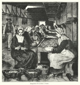 Frauen bereiten Sardinen vor von French School