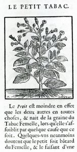 Le Perit Tabac, Illustration aus Discours du Tabac von Jean Le Royer de Prade, 1671 von French School