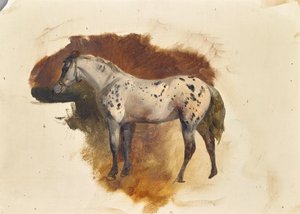 Gefleckter Schimmel