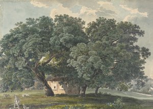 Italienische Landschaft mit Bäumen recto, 1815-21