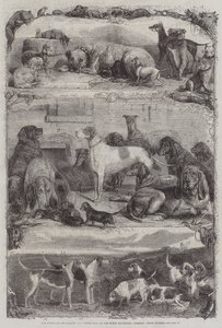 Die Ausstellung von Sport- und anderen Hunden im Horse Repository, Holborn, Preisgekrönte Tiere