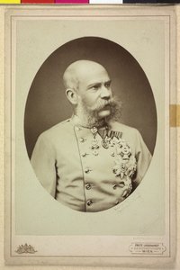 Franz Joseph I. von Fritz Luckhardt