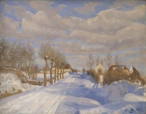 Schneebedeckte Landstraße im Sonnenschein