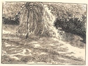 Studie zur Trauerweide in: Da hast du deine Augen, sagte der Tod... von Fritz Syberg