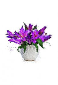 Lebhaftes violettes Bouquet von Fun Qui