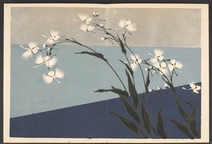 Shasei sôka môyô, Muster von Pflanzen und Blumen aus dem Leben von Furuya Korin